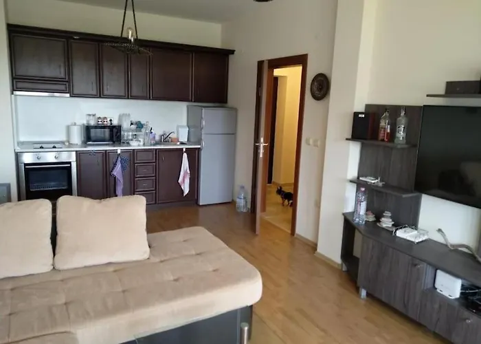 сънрайз данаилов * Obzor